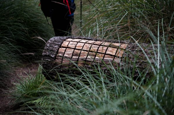 帝王之座-南湖圈谷｜審馬陣山＋南湖北山＋雲稜/南湖圈谷山屋2884843