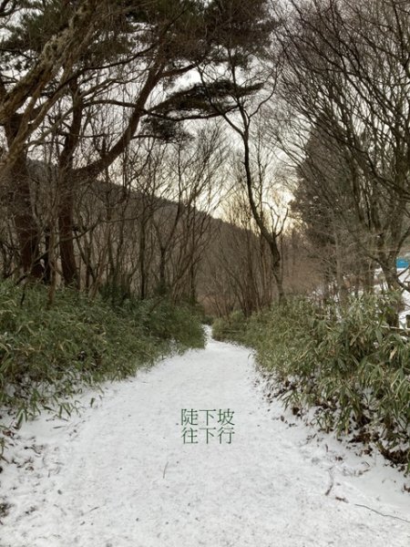 5 大阪金剛山全記錄2711129