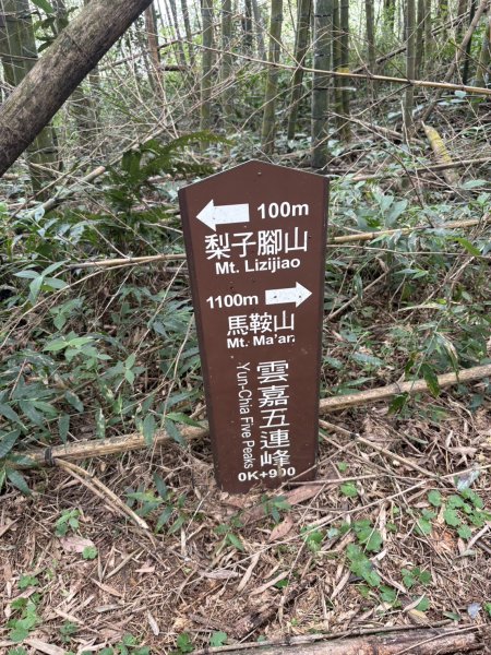 20251024雲嘉五連峰+碧湖山2924272