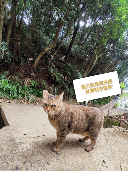 始終如一的愛心縱走2993465