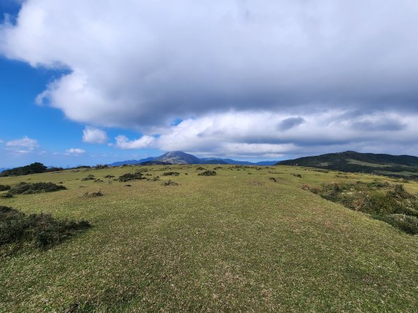 20260110大湖公園捷運站至擎天崗