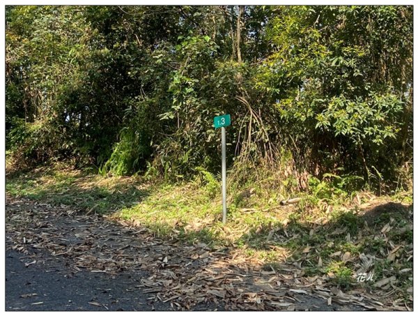 阿里眉山 (日月潭四姝的么妹)2753049