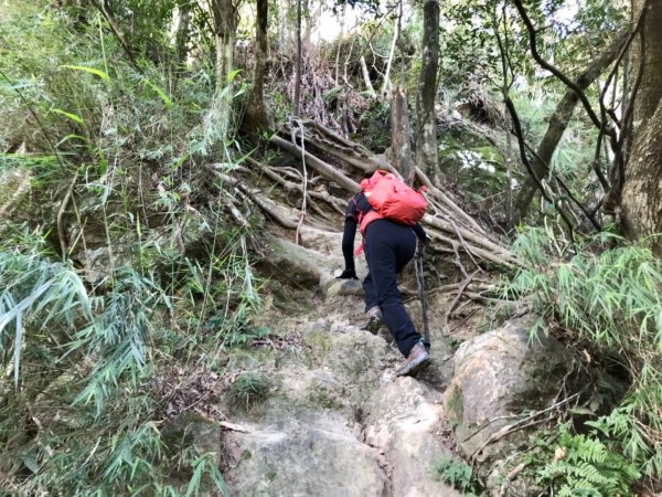 五寮尖上大風狂448887