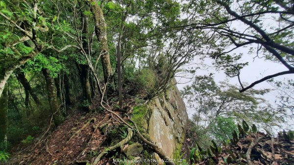 《雲林》望好望角｜石壁山嘉南雲峰步道(中側登山口）202506072805413