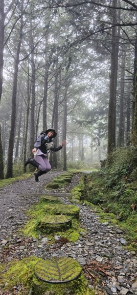 太平山翠峰湖見晴懷古步道2629000