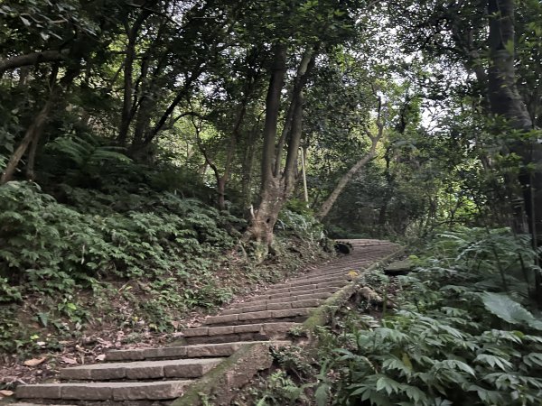 [山頂鳥40周年會員大縱走-09/15] 2024_0718 象山親山步道2556900