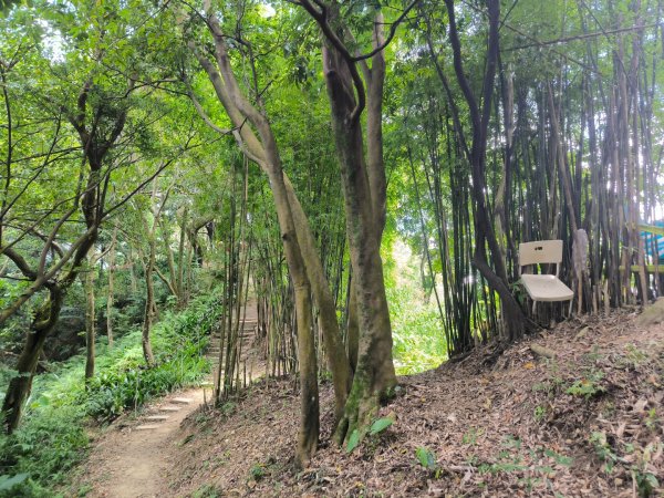 20250824鳶山彩壁2868539