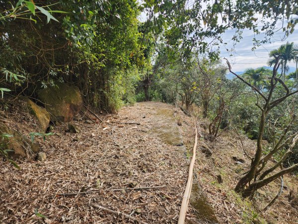 20241222二載山與大橫屏山南峰(追加鹽菜甕山、鹽菜甕下山)2721535