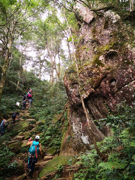 北得拉曼 內鳥嘴山1524479