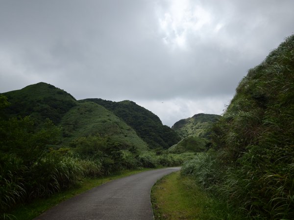 [淡蘭古道] 2026_0531 北路第一段_燦光寮古道(上)-草山戰備道3070676