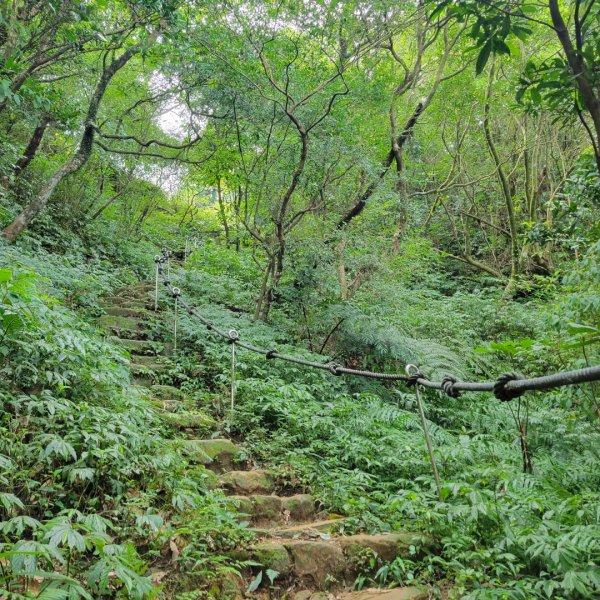 暖東舊道（十分古道）1838668