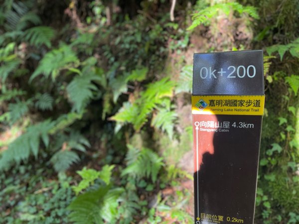 向陽日出，嘉明湖光2865065