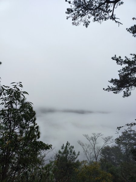 谷關老八阿冷山2699791