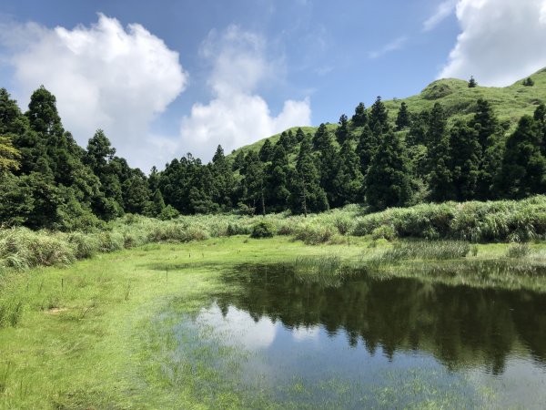 【台北大縱走3】冷水坑-七星山-小油坑1006336