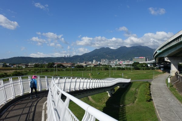 關渡水岸公園1156243