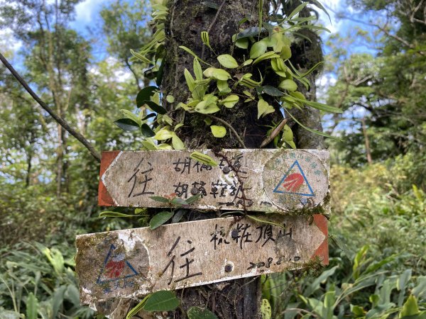 20201004_湖桶古道梳妝樓山1167876