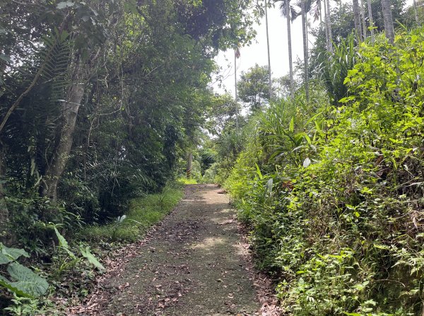 [皮皮獅Hike客任務-05/10] 2024_0721 石硬子古道(石峎古道)2557515