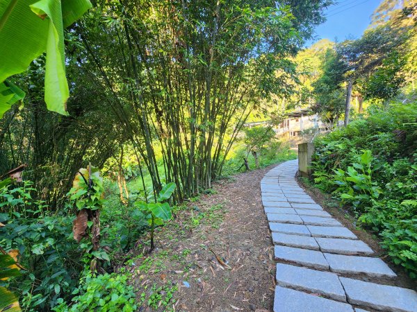 20240707馬胎古道2780990