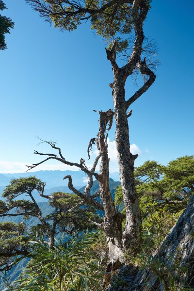 白姑大山單攻19小時奮戰2628170