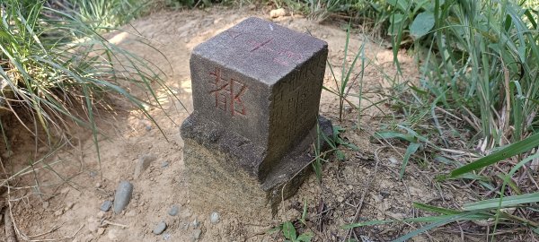 20230929_槓子寮山+砲台步道2300865