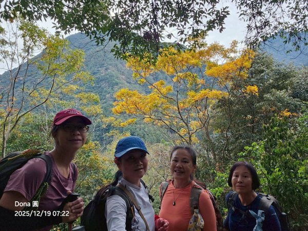 20251219八仙山+佳保台山(谷關三雌)2974414