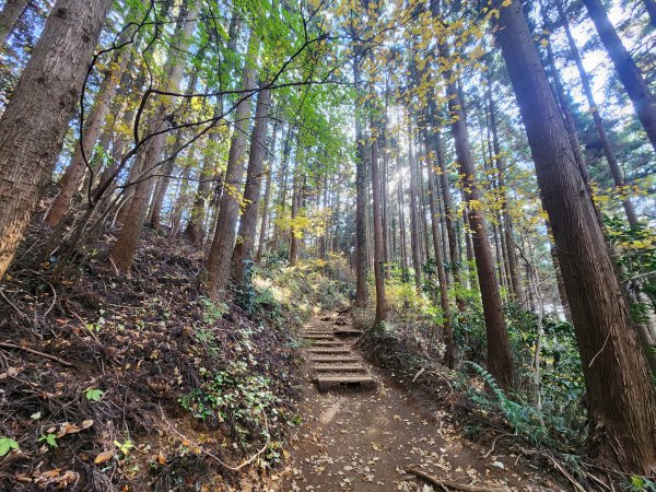 20251127陣馬山至高尾山2959094