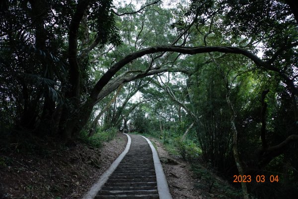 新竹 芎林 飛鳳山、中坑山、大板根、石壁潭山2052609