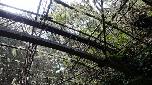 雙龍林道上巒安堂西巒大山1778774