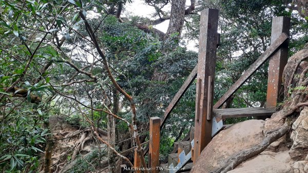 《新竹》斷崖神木｜北得拉曼步道小P繞202510172917525