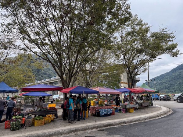 雪霸國家公園 雪見遊憩區 東洗水山2928568