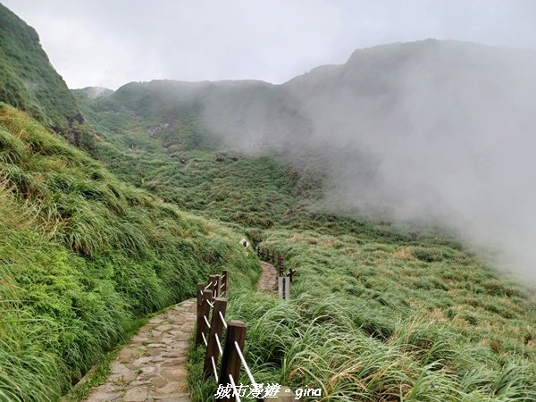 【台北北投】搭捷運公車爬山趣。 小百岳集起來。編號2小百岳~七星山步道1766566