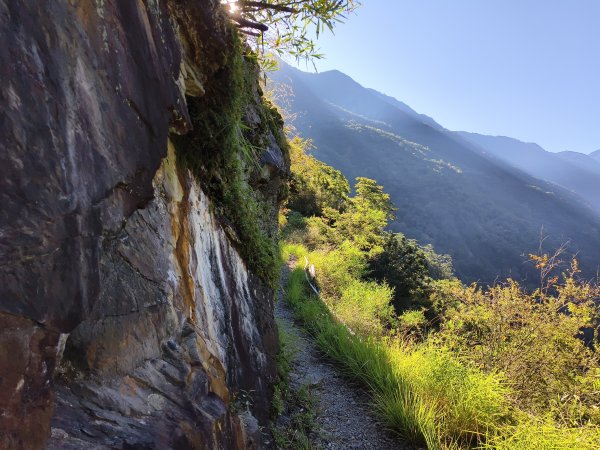 [玉山尋寶任務-07/12] 2025_0824 八通關雲龍瀑布步道2870597