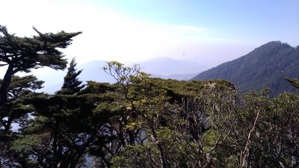 第二度北大武山一日遊1339028