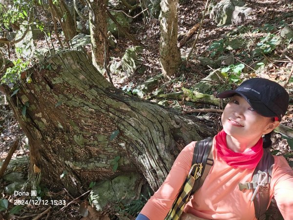 【谷關七雄】波津加(H1771.6m)肉腳配速成功2670524