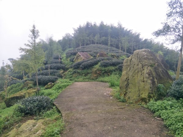 竹崙、志騰山步道(竹崙古道)1452927