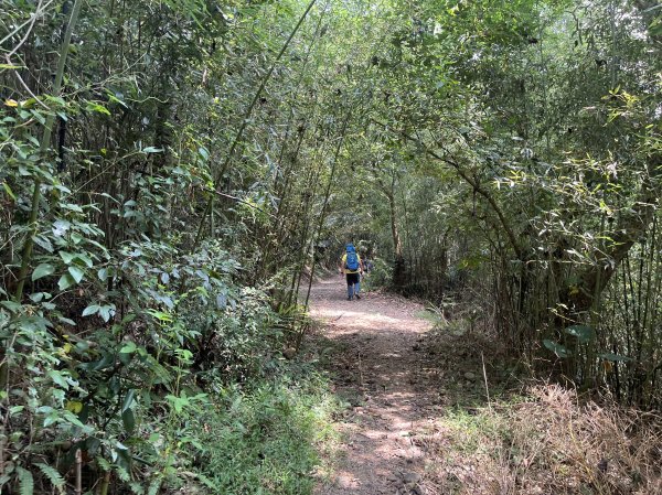 [皮皮獅Hike客任務-02/10] 2024_0720 渡南古道+飛鳳古道2557092