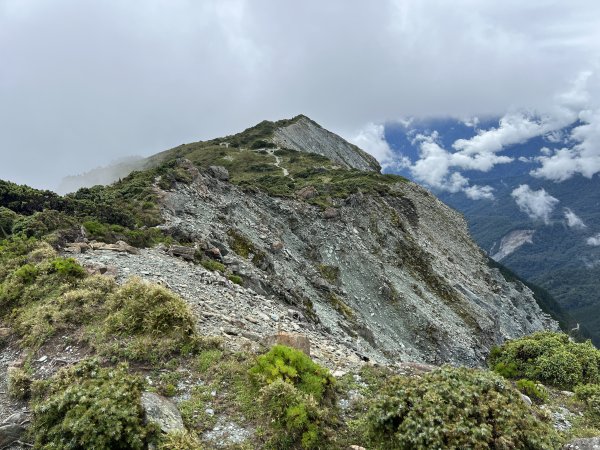 【新康橫斷】新康橫斷出瓦拉米2672377