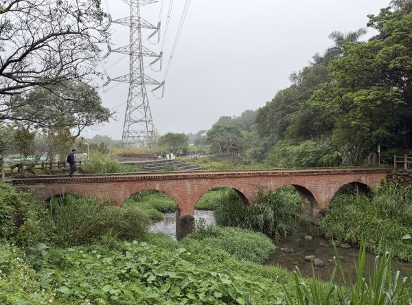 [樟之細路_第一大段RSA01] 2026_0329 大平紅橋3026632