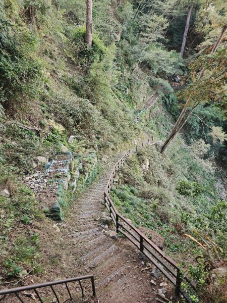 大雪山森林遊樂區森林浴步道2966029