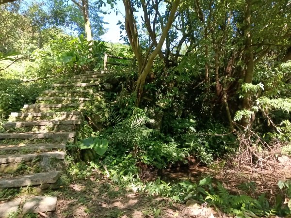 汐止區白雲古道+白雲寺O型2911976