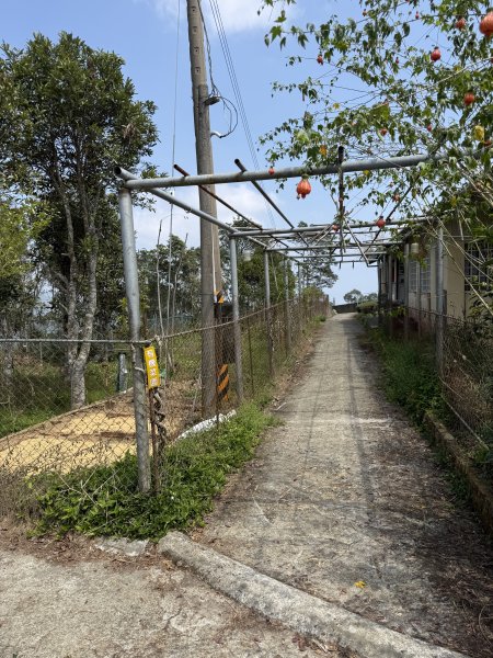 1150322雲嘉8連峰3023008