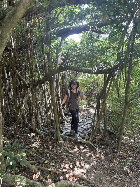 20250811小百岳大山母山2858840