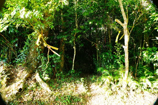 新竹 尖石 煤源山、比麟山、尖石山3071507