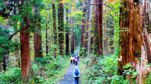 山形縣羽黑山神社2929704