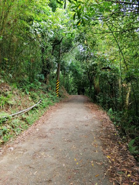 台南白河~台南第一高峰。 關仔嶺大凍山917807