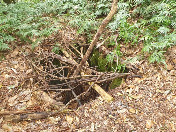 麗陽上屋我尾山2683122