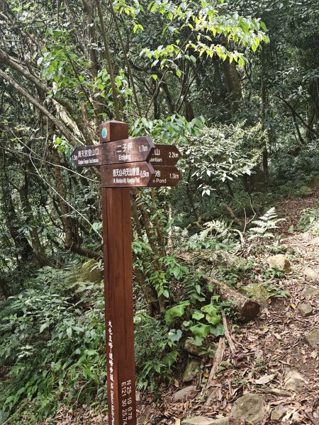 2026-0323 台北大縱走第一段3022634