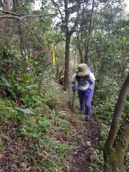 糜爛山友:瑞芳耍廢.五四縱走514602