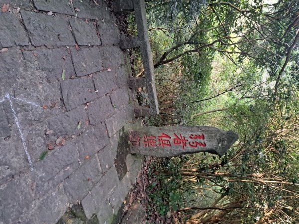新北硬漢領步道3105911