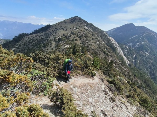20240320 馬博8天縱走~第五天，馬里亞文路山，馬利加南山2471204